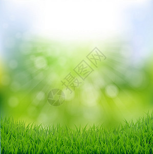 春邮区系草地浅色艺术植物天空季节性花园绿色背景背景图片