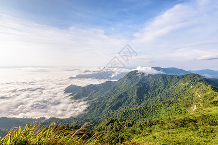 FA上午在Phu Chi Fa森林公园晴天薄雾天空公园全景爬坡顶峰场景蓝色景点背景