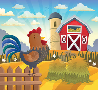 农家烧公鸡公鸡在栅栏上的农田插画