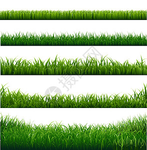 草框架水平牧场园艺绿色生态生物草地场地插图宏观背景图片
