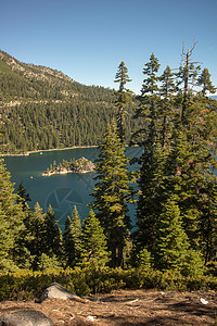 Tahoe湖穿过树木山脉背景图片