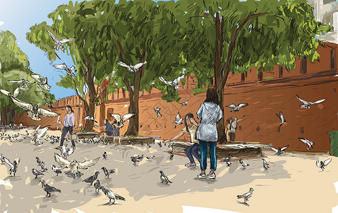 树和鸽子素材泰国清迈素描城市景观秀门塔佩安市中心地平线文化艺术鸽子绘画鸟类团体旅行地标设计图片