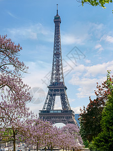 法国艾菲尔铁塔艾菲尔铁塔 春天在茂盛的树丛中背景