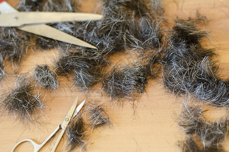 人头发和剪剪刀棕色理发美丽剪发工具女性发型沙龙治疗造型师背景图片