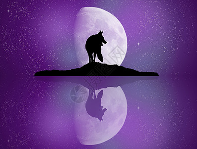 月光中闪耀的狼高清图片