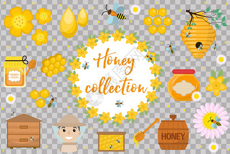 蜂巢元素蜂蜜收藏 养蜂业在白色背景上隔离的一组对象 设计元素平面卡通风格的养蜂套件 矢量插图剪贴画玻璃甜点农业框架蜂巢蜂房蜜蜂液体艺术金插画