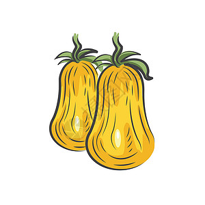 两个黄色番茄绘图图标设计背景图片