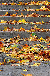 在一个有叶子覆盖的城镇广场上的阶梯上植物楼梯绿色途径石头黄色小路人行道乡村公园背景图片