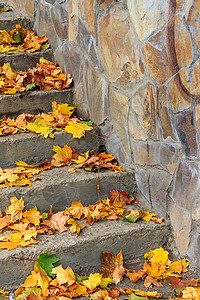 在一个有叶子覆盖的城镇广场上的阶梯上植物乡村楼梯途径小路绿色花园人行道黄色公园背景图片