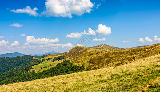 克拉斯纳亚夏末喀尔巴阡山脊背景