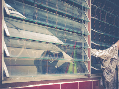 女性用手打扫窗玻璃房子建筑百叶窗卫生窗户窗帘住宅白色织物办公室背景图片