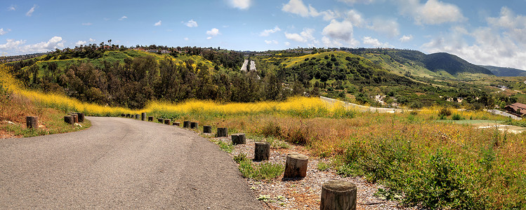 野地公园视图冒险山脉花朵爬坡小路旅行黄花踪迹荒野公园背景图片