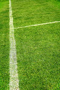 足球场边界场地游戏环境运动草地花园植物团队墙纸高清图片