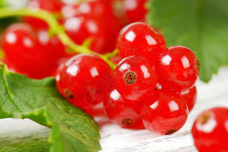 新鲜红草莓浆果树叶红色食物小枝水果背景图片