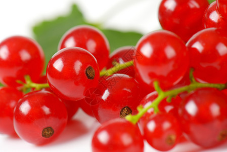 红草莓食物浆果叶子红色小枝水果背景图片