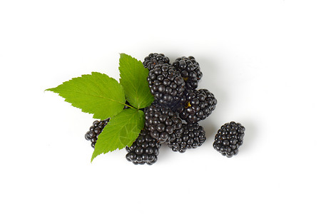 新鲜熟熟黑莓高架浆果森林荆棘食物水果背景图片