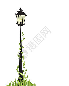 花形灯矢量街林照明建筑学收藏历史性花园灯笼城市插图灯光光源插画