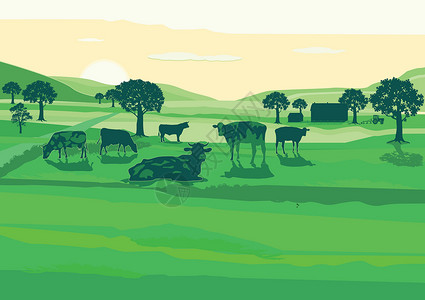 农家黄牛肉它制作图案牧场上的奶牛农业插画