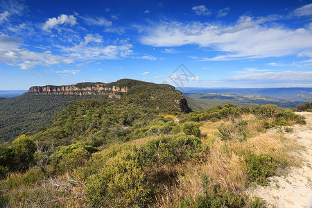卢纳谷纳罗内克高原蓝山 澳大利亚背景