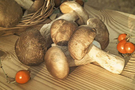 一篮子和桌上的白色浓烈蘑菇生长烹饪森林零食团体阳光季节素食静物浆果背景图片