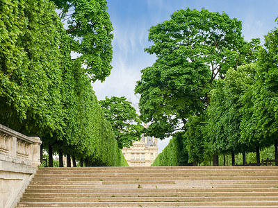 观赏树在巴黎公园的巷子上楼梯背景