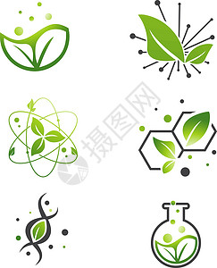 科学收藏素食绿叶抽象科学实验室 Se生物叶子测试化学化学品灯泡研究生态公司绿色插画