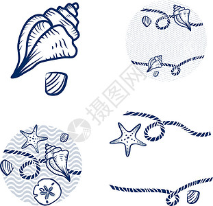 蜗牛图标密封壳和绳索设计套件贝壳海滩绘画假期海洋星星贝类蜗牛草图收藏设计图片