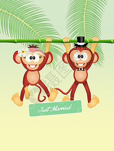 猴子的婚礼明信片丛林森林婚姻庆典夫妻面纱问候语竹子耦合背景图片
