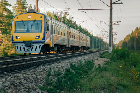 客轮电动列车旅行运输速度运动铁路绿色驱动器黄色树木森林背景图片