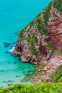 波特罗海滩选票海滩岩石海岸线波浪阳光海景树叶旅行场景蓝色鹅卵石背景