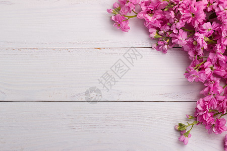 加纳帕蒂木制背景上的粉红色花朵草本植物库存框架香水年度香味菜单边界花店植物背景