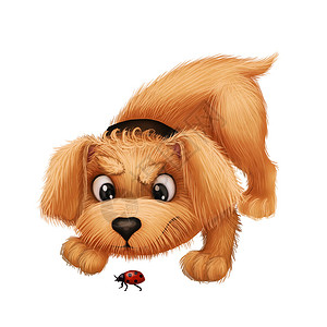 小狗手绘可爱的小毛皮小狗 - 卡通动物品格的马斯科特与 Ladybug 玩耍背景