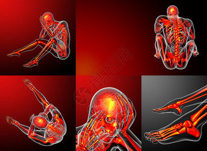 人体肌肉素材3d 提供人体骨架的医疗图解背景