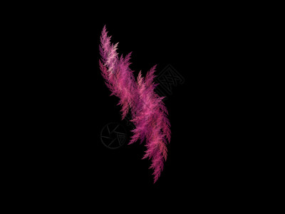 粉红色双羽毛中的抽象分形羽毛渲染黑色背景图片