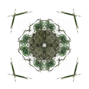 带有深绿色图案的抽象分形样本渲染白色单元正方形插图背景图片