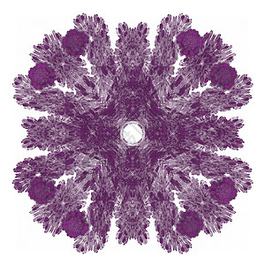 紫色正方形图案白色背景上带有紫色图案的抽象分形艺术正方形渲染创造力样本插图背景