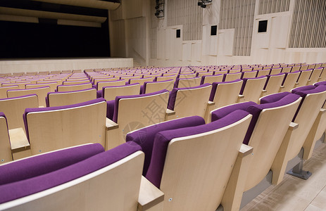 国会剧院拉脱维亚国家图书馆大厅的椅子椅礼堂推介会商业习俗建筑学团体会议大学演讲剧院背景