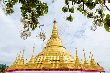 塔吉利克佛塔旅游模仿文化旅行模拟器艺术大其力建筑学叶子背景图片