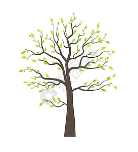 有树叶的树木白色艺术树形绘画季节生命环境森林景观黑色插画
