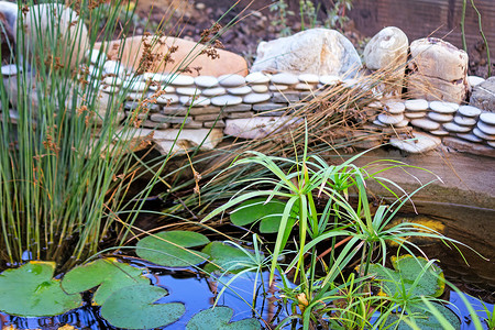 小池塘花园里的小装饰池塘美好生活人工季节石头景观公园房子花朵水池国家背景
