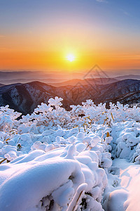 南韩冬雪覆盖的登峰造极山上假期季节运动日落顶峰荒野戏剧性太阳天气全景背景图片