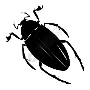 白色背景上甲虫的黑色简单的黑光圆形轮廓背景图片