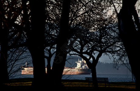 海 货船英国湾货船血管船运海岸海岸线运输海景货轮背景