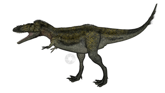 Alioramus 恐龙行走 - 三维转化背景图片