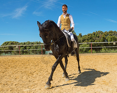 骑马人训练骑马竞赛男人男生慢跑运动舞步黑色学校宠物高清图片