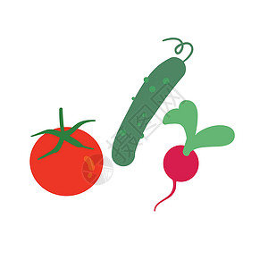 泡菜萝卜一套蔬菜上白色孤立插画
