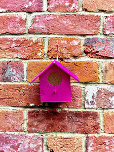 粉鸟屋粉红色房子建筑粉色砖块鸟巢鸟类背景图片