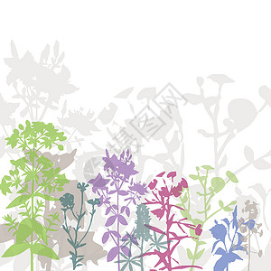 多彩的夏季花卉背景婚礼框架植物学艺术花园邀请函植物插图花坛玫瑰背景图片