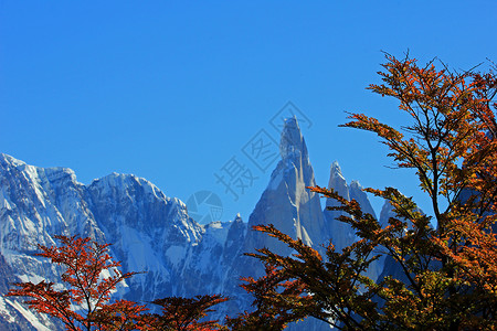 秋天卡拉法特秋天颜色的山 阿根廷冰川国家公园 近距离聚焦背景