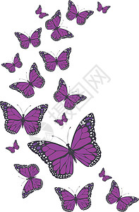 矢量微软蝴蝶纺织品昆虫织物墙纸绘画包装插图翅膀装饰风格背景图片
